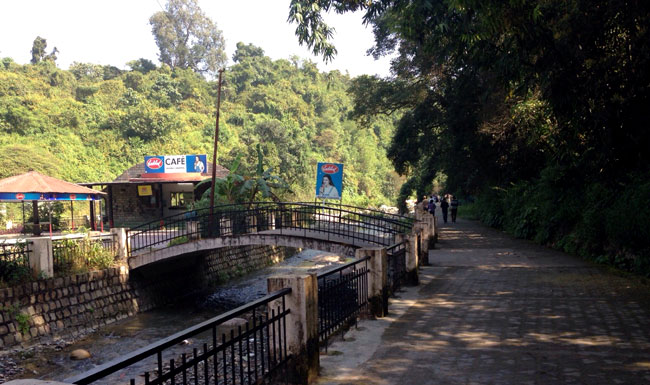 Robber's Cave Guchu Pani Dehradun Uttarakhand